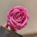 AJOIDR Sweet Ballet Flower Hair Clip Large Rose Hairpin Duckbill Hairclip Hair Barrettes for Women SideBangs Hair Styling Tool - Buy Online on GoSupps.com