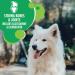 IAMS Proactive Health Dog Food Dry Adult Large Breed Chicken & Whole Grains Recipe + IAMS Proactive Health Dry Dog Food - Mature (7+) - Original Dog Food+ Dog Food 6.8kg 6.80 kg (Pack of 1) - Buy Online on GoSupps.com