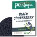 Plantagia Black Chokeberry Organic - 1kg / 2.2 Pounds - Buy Online on GoSupps.com