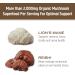 Om Mushroom Superfood Brain Fuel Plus Mocha Mushroom Powder 4oz - Lions Mane & Rhodiola Memory Support - Focus Supplement 15 Servings - Buy Online on GoSupps.com
