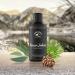 BERGBAD ORGANIC Sauna Infusion - Pine & Eucalyptus 100ml | Natural Essential Oils for an Invigorating Sauna Experience - Buy Online on GoSupps.com