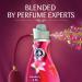 Comfort Strawberry & Lily Fabric Conditioner - 55 Wash 1.925L - Long-Lasting Freshness & Fragrance + Softness - Honeysuckle & Sandalwood - Buy Online on GoSupps.com