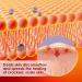Itching Cream 20g - Restore Skin Barrier for Men & Women | Irritated Skin Relief - Buy Online on GoSupps.com