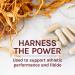 Fungi Perfecti Cordyceps Energy Support - 60 Veg Capsules for Vitality - Buy Online on GoSupps.com