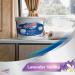 DampRid Hi-Capacity Moisture Absorber Bucket 2 lb - Fragrance Free & Moisture Detection Strip (2 Pack) | Effective Excess Moisture Control - Buy Online on GoSupps.com