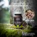 HIFASDATERRA Mico Polypor 70 Capsules - Buy Online on GoSupps.com