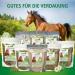 Stiefel Flea Seed husks 1 kg - Buy Online on GoSupps.com