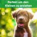 Enero Dog Whistle - High-Frequency Dog Training Tool for Effective Upbringing | Reliable & Far-Reaching Volume - Buy Online on GoSupps.com