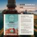 HerbEra Utah Herbal Detox Blend - USDA Organic Extract Made in USA | Immune & Liver Support Liquid Drops | Amla Burdock Dandelion Root Licorice Milk Thistle Hibiscus | 2 fl oz - Buy Online on GoSupps.com