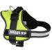 K9 Powerharness M/0 - Kiwi | Durable Dog Harness for Ultimate Comfort and Control | International Shipping Available - Buy Online on GoSupps.com