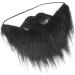 Fake Beards Black Fake Mustache Beard Facial Hair Game Fake Beards for Adults Kids Halloween Makup Parties Party Tools False Beard Mustaches - Buy Online on GoSupps.com