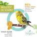 Vogelgaleria Natural Wood Poles for Birds | Budgie Nymphic Canary Agapornid Accessories | Essential Bird Cage Supplies - Buy Online on GoSupps.com