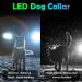 Auauy LED Light Neck Band for Dogs & Cats - Adjustable USB Rechargeable Waterproof Silicone Collar with 4 Modes (Pink) | Pet Safety Gear - Buy Online on GoSupps.com