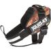 Julius-K9 I-Gurt Safety Belt for Dogs (7-23 kg) - Black Mini Schutzhund | International Shipping - Buy Online on GoSupps.com