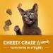 Friskies Party Mix Cat Treats Cheezy Craze Crunch with Real Cheese - 170 g Pouch (1 Pack) 170 g (Pack of 1) - Buy Online on GoSupps.com