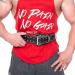 Buy Lower Thoracic & Lumbar Support Belt | Back Support & Disc Belt for Pain Relief (S) - International Shipping Available - Buy Online on GoSupps.com
