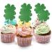 Leetaivie 24 Pcs Four- Leaf Clover Cupcake Topper Green Glitter Lucky Four- Leaf Clover Cupcake Topper St. Patrick's Day Theme Birthday Party Cupcake Decorations - Buy Online on GoSupps.com