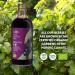 LOOV Organic Blackcurrant Juice 500ml - Cold-Pressed Pure Juice, High in Antioxidants & Vitamin C - Buy Online on GoSupps.com
