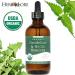 Herb Lore Organic Dandelion & Nettle Tincture - Liquid Dandelion Leaf & Stinging Nettle Leaf Extract Drops (4 fl oz) 4 Fl Oz (Pack of 1) - Buy Online on GoSupps.com