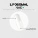 Codeage Liposomal NAD+ Supplement - NAD Nicotinamide Adenine Dinucleotide Coenzyme Pills - 500 mg NAD+ Per Serving & Betaine Anhydrous - Liposomal Delivery - Vegan Non-GMO Gluten-Free - 60 Capsules - Buy Online on GoSupps.com