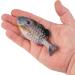 Berkley Powerbait Gilly 90mm HD Bluegill Soft Bait for Effective Fishing - Buy Online on GoSupps.com