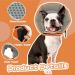 Kuoser Adjustable Dog Collar - Comfortable Lick Protection for Dogs | Prevent Bite and Wound Healing | Size S - Neck 24-30cm - Orange - Buy Online on GoSupps.com