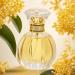 Eau de Parfum Spray Eau Fraiche Eau de Toilette for Women Perfumery Sweet Scent and Light Flavor Relax Meditation Be At Peace Mentally Soothe The Nerves 1.7 Ounce 50ml (Osmanthus) - Buy Online on GoSupps.com