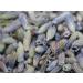 100g (3.5 Ounces) Organic Dried Lavender Flower Buds for Sachets & Fragrance Cooking or Infusions | 100% Raw from France (Provence) - Buy Online on GoSupps.com