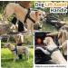 Eeyfarog No Pull Dog Harness for Small & Medium Dogs - Reflective Adjustable Safe Black - Ideal for Comfort & Control - Buy Online on GoSupps.com