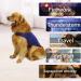 Cattamao Comfort Dog Authority - Fear Relief for Dogs | Thunderstorm & Fireworks Anxiety Aid (Medium Marineblau) - Buy Online on GoSupps.com
