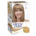 Clairol Nice n Easy Permanent Hair Color 9A Light Ash Blonde - Buy Internationally | Top Quality Hair Dye - Buy Online on GoSupps.com