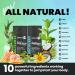 Extra Strength Heated & Cooling Hemp Balm | Natural Relief for Muscles Joints Back Aches & More | Long-Lasting Hemp Cream with Menthol Arnica Camphor - Buy Online on GoSupps.com