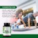 Emerald Laboratories Pea+ with Levagen+ - Support Joint & Muscle Health with Meriva Curcumin OptiMSM & Levagen+ Pea* - Non-GMO Vegan Gluten-Free - 60 Vegetable Capsules - Buy Online on GoSupps.com