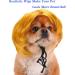 Funny Dog & Cat Role Play Wigs - Halloween Christmas & Party Costumes for Small Medium & Large Pets - Buy Online on GoSupps.com