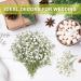Dried Babys Breath Flowers - 200 White Real Gypsophila for Wedding, Resin Art, Craft, DIY - Natural Pressed Floral Decor - Buy Online on GoSupps.com
