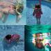 Phitnis Kids Snorkel Set - Dry Top Mask for Boys and Girls (Pink) | Anti-Fog, Anti-Leak Snorkeling Gear for Children Ages 4-12 - Buy Online on GoSupps.com