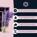 Panu Lavender Soap - Vegan Natural Shower Gel & Shampoo Bar | Premium 110g for All Skin Types - Buy Online on GoSupps.com