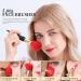 Buy Ducare 12-Piece Queen Series Makeup Brush Set - Premium Synthetic Kabuki Brushes for Foundation Concealer Eyeshadow | Perfect Gift for Women with Gift Box - Buy Online on GoSupps.com