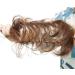 SEGO Human Hair Scrunchies for Women Messy Hair Buns Hairpiece #4 Medium Brown 100% Real Remy Updo Scrunchies Donut Hair Extensions Chignons Straight (23g) Straight #4 Medium Brown - Buy Online on GoSupps.com