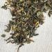 Stash Tea Jasmine Blossom Green Loose Leaf Tea 16oz - 1lb Pack of 1 - Buy Online on GoSupps.com