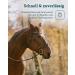 Vetevo Wurmtest for Horses | Reliable Roundworm & Strongylid Egg Count Test for Selective Deworming - Buy Online on GoSupps.com
