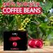 Intenso Decaffeinato Cremoso Vellutato Coffee Capsule (Intenso PacK 3 Intenso PacK 3) INTENSO (50X3 Pack 3 - Buy Online on GoSupps.com