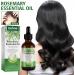 Rosemary Oil for Hair Growth Essential Oils Rosemary Hair Oil Organic Hair Products Scalp and Hair Strengthening Oil with Glass Dropper 2 fl oz oz Skin and hair care Novent - Buy Online on GoSupps.com
