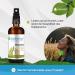 Bioherba Neck Spray Broncho 50ml - Natural Throat Spray with Propolis Ginger & Vitamin C - Immune Support Coughing Aid - PZN 17188640 - Buy Online on GoSupps.com