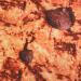 Topincn Cookie Ceiling for Adults - Stylish Flannel Comfortable & Funny Pub Ceiling Decor - Buy Online on GoSupps.com