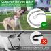 Retractable Dog Leash for Medium & Large Dogs - Etechydra Durable Anti-Bite Steel Chain 5m Pull-Out Nylon Strap Green - Buy Online on GoSupps.com