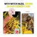 Natural Witch Hazel Makeup Facial Wipes - 50 Vegan Count, Gentle and Calming Makeup Remover for Sensitive Skin - Buy Online on GoSupps.com
