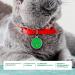 Personalized Ibera Gifts: Engraved Cat Necklace for Medium to Large Cats - Round Green Collar with Name & Address Tag - Buy Online on GoSupps.com