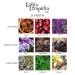 Lolita Lempicka Le Parfum Eau De Parfum Spray for Women - Notes of Licorice Violet & Anise - Ideal for Daily Wear and Special Events 3.4 Fl Oz (Pack of 1) - Buy Online on GoSupps.com