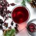 Th la fleur d'hibiscus Bio 100g - Th de haute qualit s ch - Mis en bouteille et contr l en Allemagne - Biotiva - Buy Online on GoSupps.com